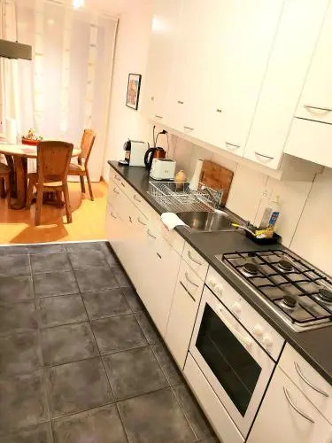Large Apartment Bern City Centre