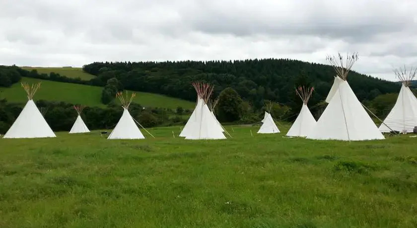 Winema Bisonranch