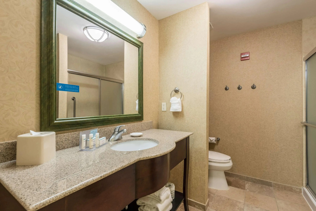 Hampton Inn & Suites Orlando-South Lake Buena Vista