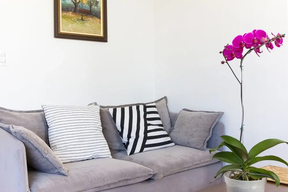 Lindo Apartamento em Higienópolis