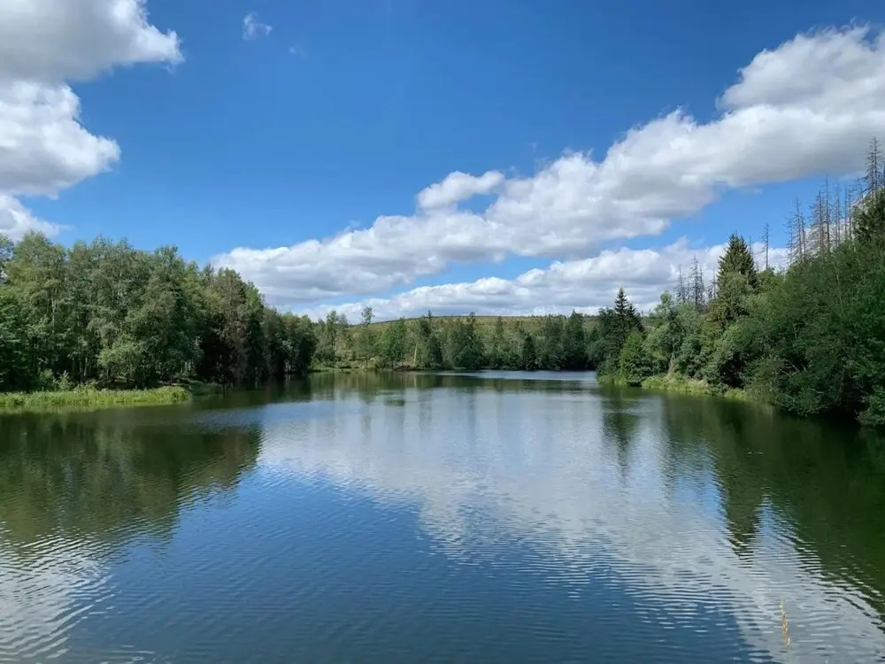 Holiday Home in Hasselfelde Near Selketalbahn
