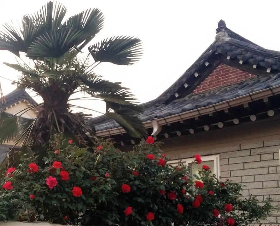 Guest House GODO - Hostel