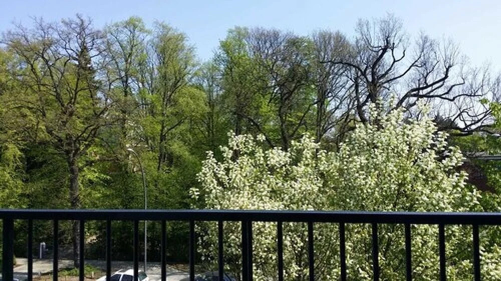 Hanselife Hotel Hamburg City Nord