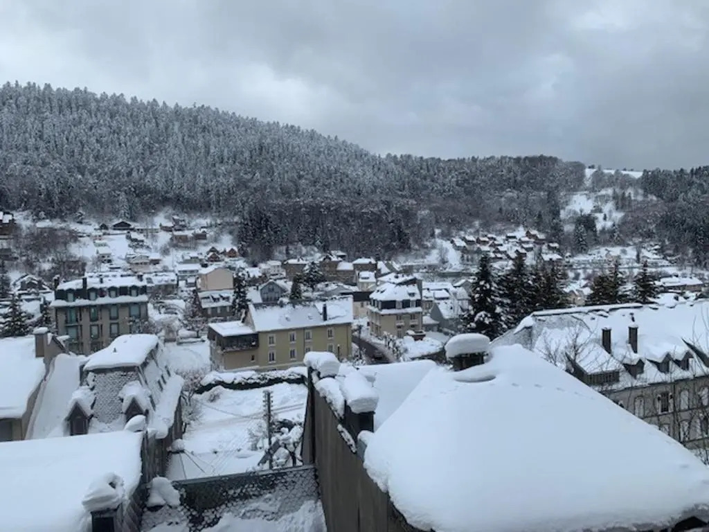 Appartement Mont-Dore, 3 pièces, 6 personnes - FR-1-415-107