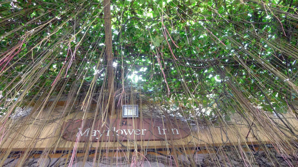 The Mayflower Inn