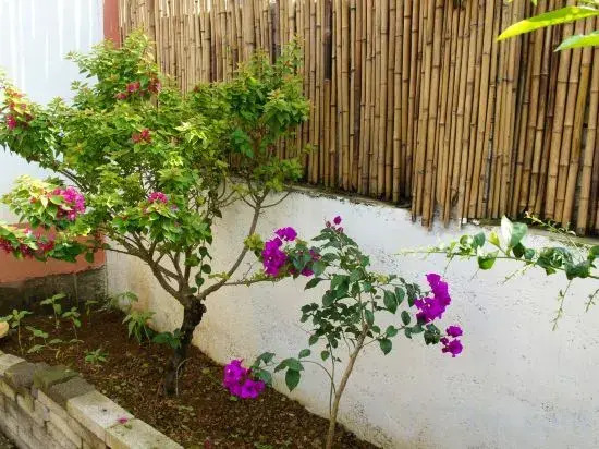 Na House
