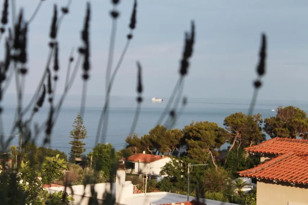 Sea View Apartment 15 Min From Athens Airport