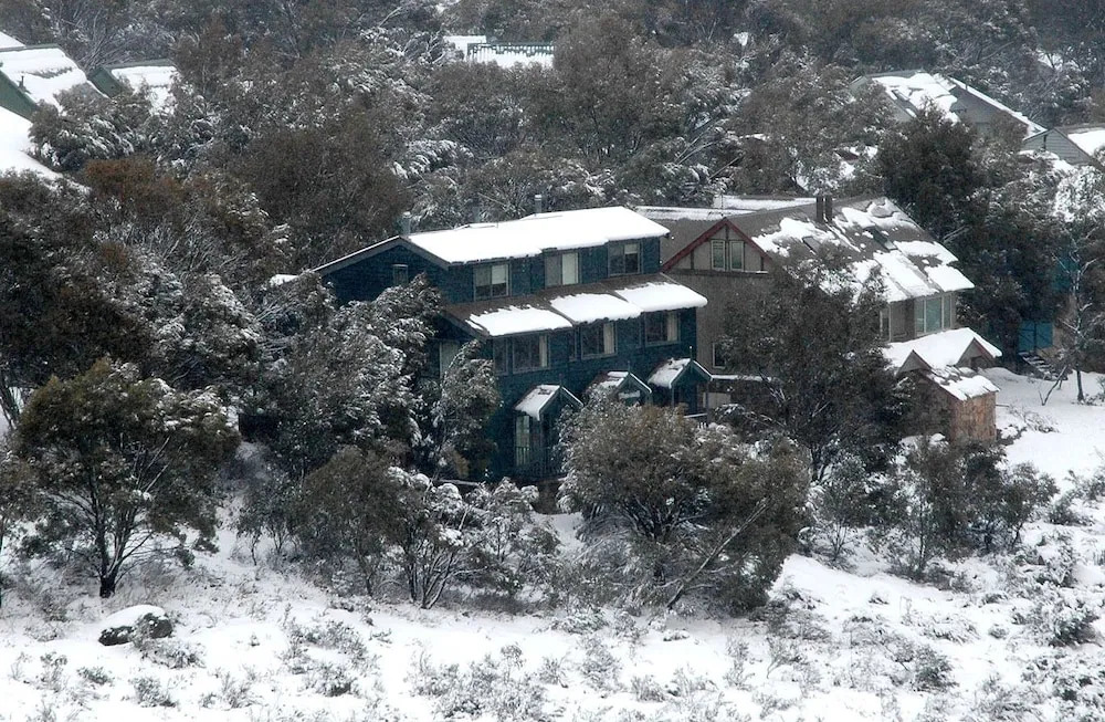Three Bears 2 - Thredbo