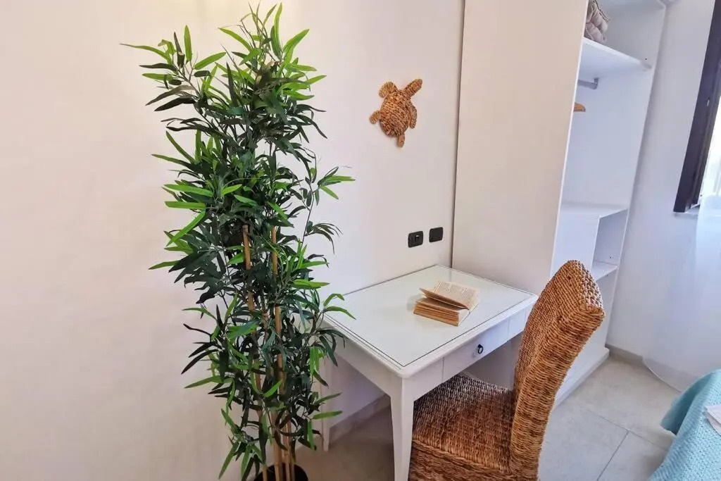 Loft Tropical - 100 metri dalla spiaggia di sabbia e dal mare