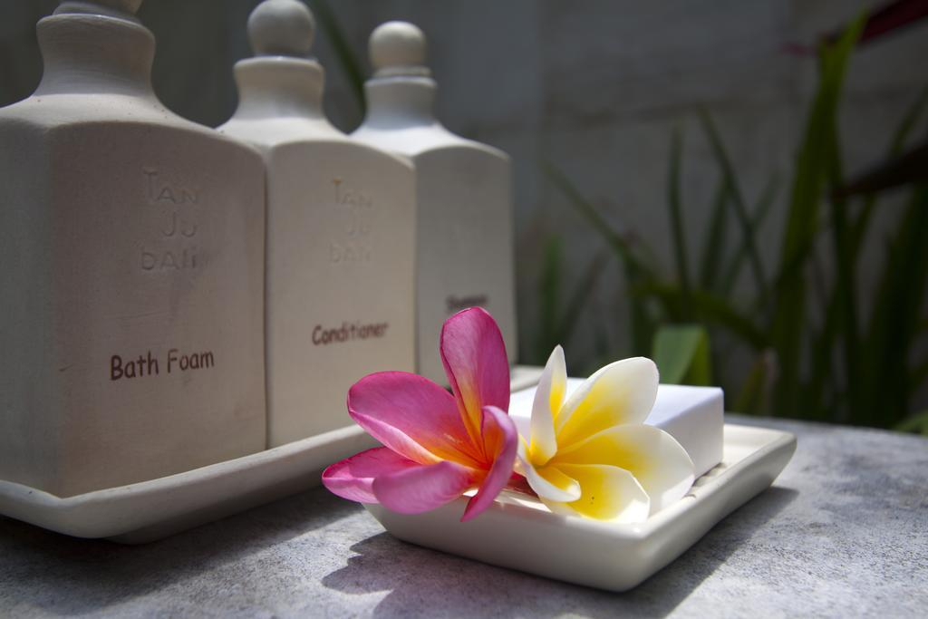 Villa Tanju Bali