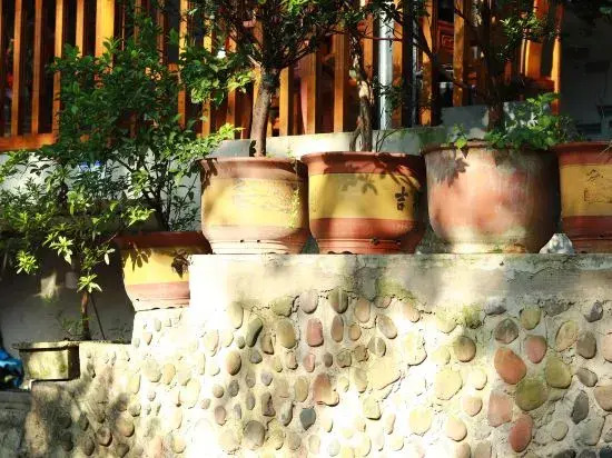 Hongya Liujiang Ancient Town Alsophila spinulosa B&B