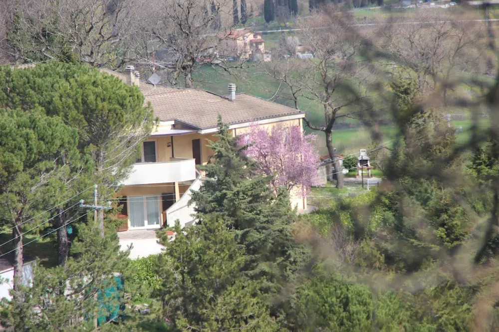 B&B Puntabella
