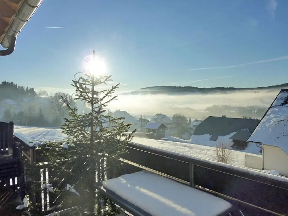 Apartment Schwarzwaldblick I by Interhome