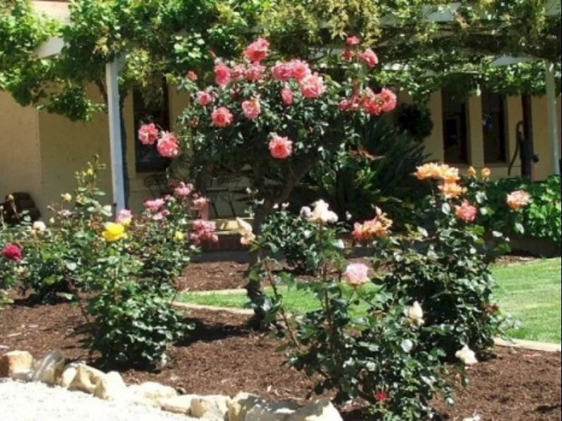 The Vintage Bed & Breakfast