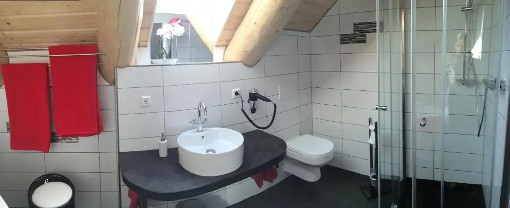 Naturstammhaus und Appartements Zum Brockenbaecker
