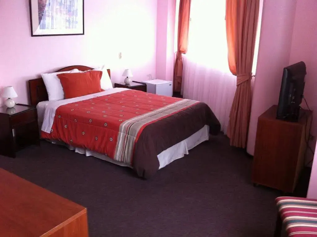 Hotel Barros Arana