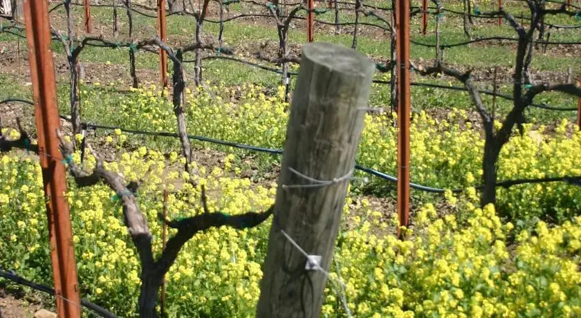 JUSTIN Vineyards & Winery