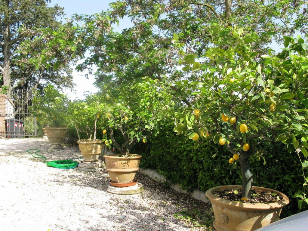 Agriturismo Vocabolo Palazzo