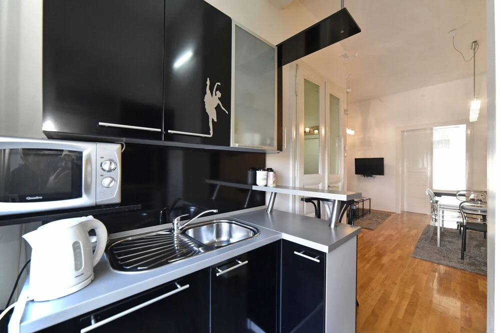Apartment Metropolis 2