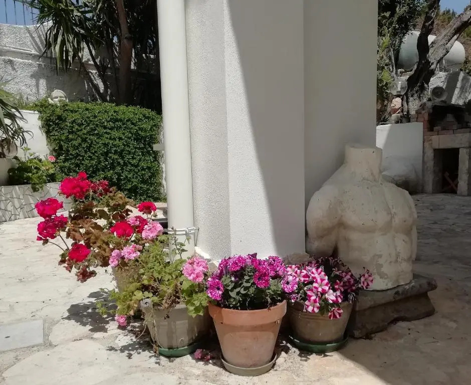 B&B LAltare Bianco