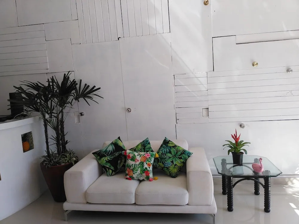Tropicus 1 Estudio Room