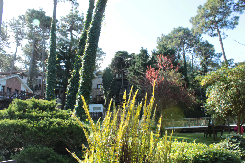 Posada del Bosque By HS