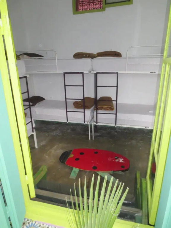 Kaktus Hostel