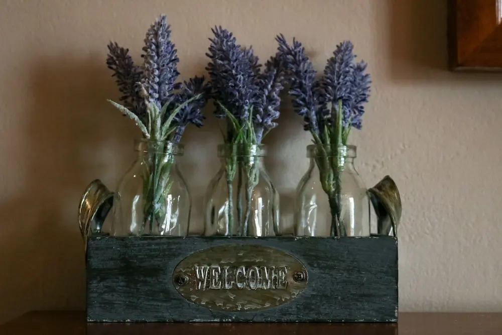 The Hollybush Inn and B&B