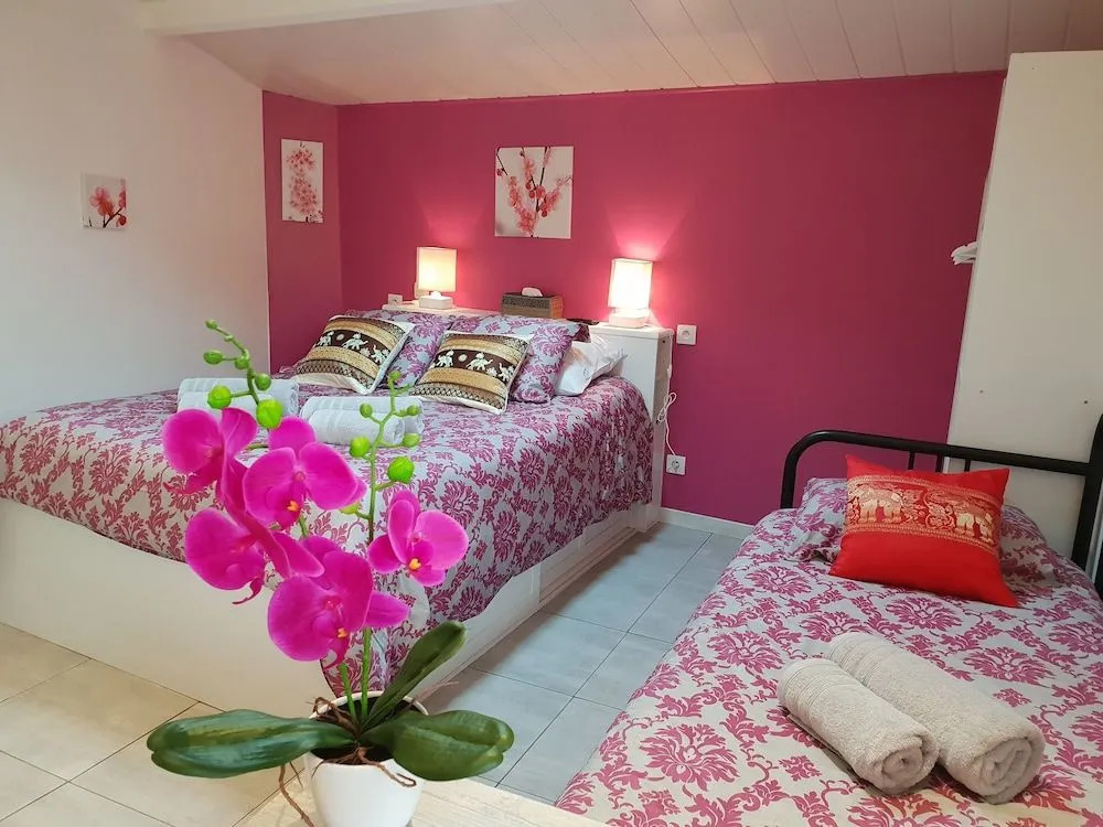 Joli Studio Le Pavachon jardin et terrasse à 3 min du Puy du Fou