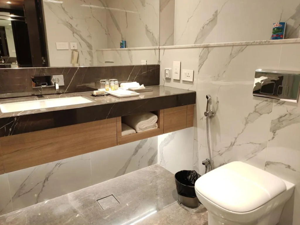 Pride Plaza Hotel, Ahmedabad