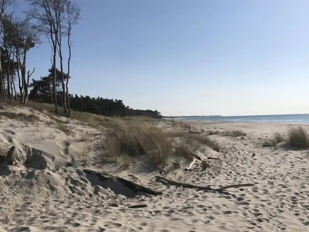 Katis Nest Comfortable Holiday Residence
