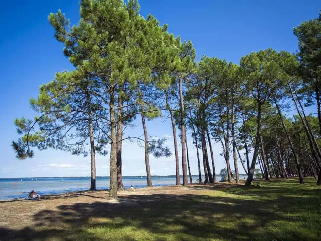 Maison Confortable avec Clim, Terrasse et Jardin - 6 Pers, Proche Lac et Plages - FR-1-319-425