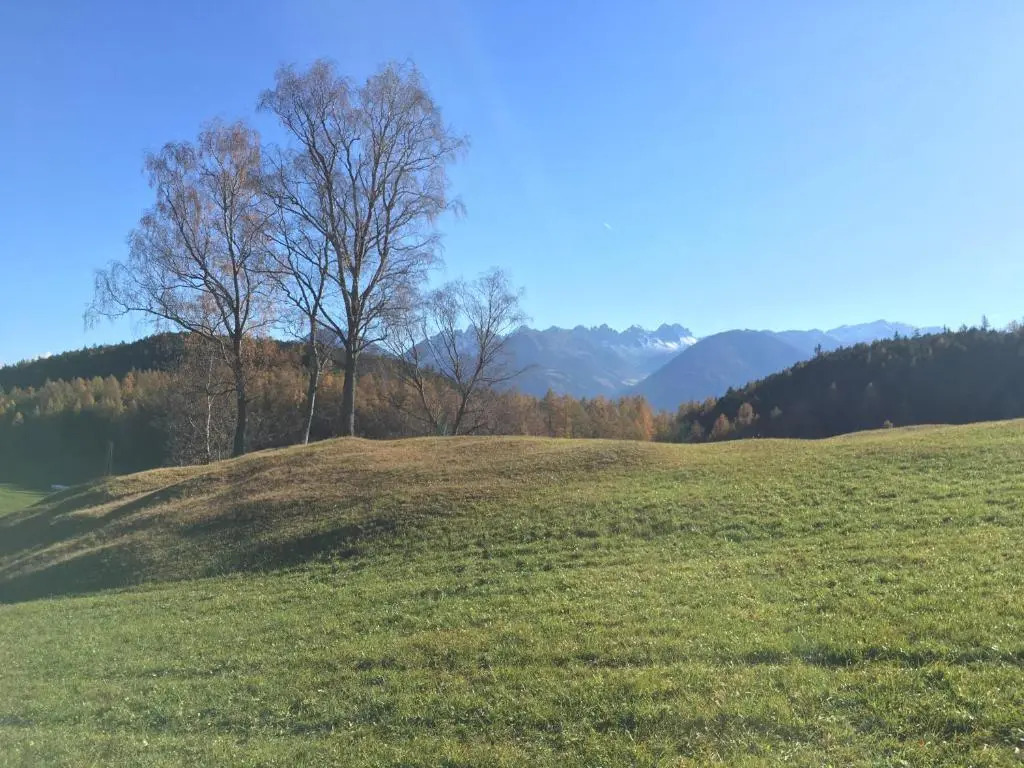 Apartment Der Riese