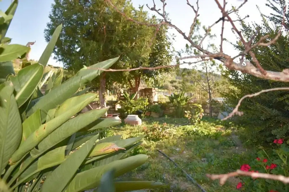 Zaros Traditional House - Private Hot Tub Retreat