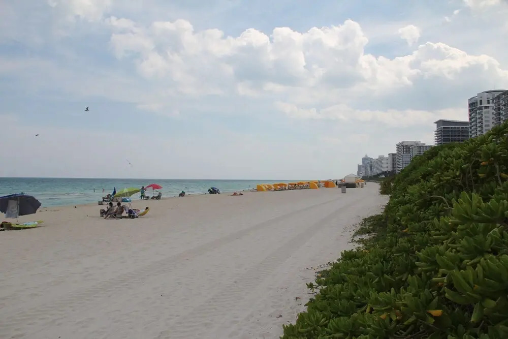 Beautiful Ocean Side Studio With Kitchenette, 10 min From South Beach