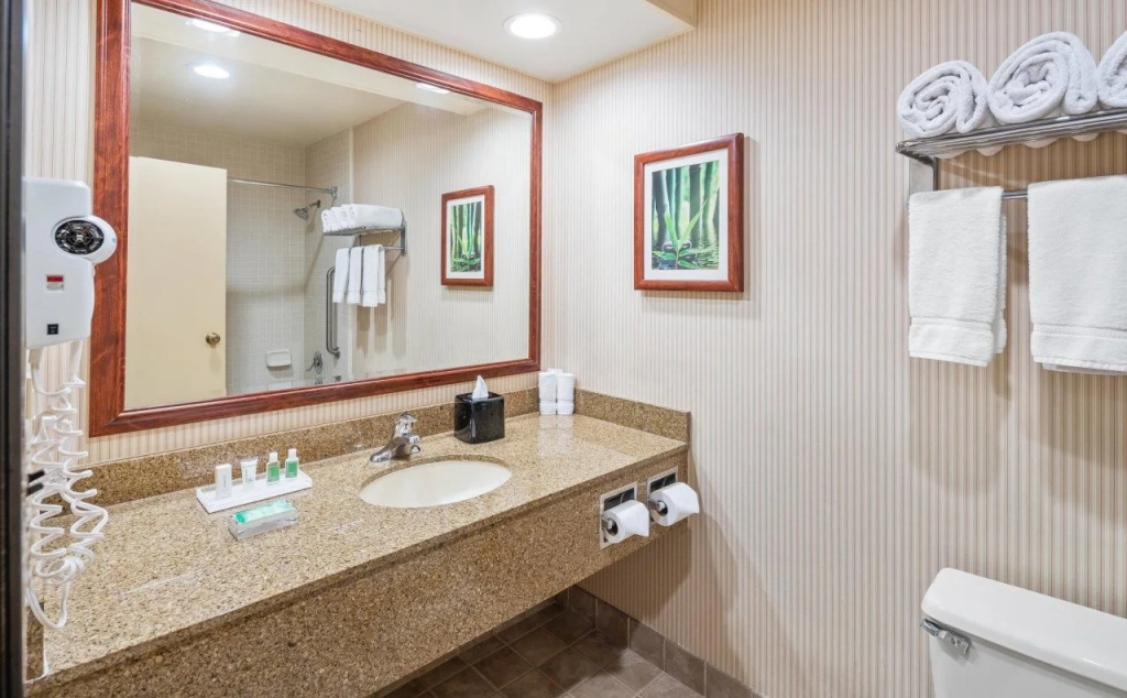 Holiday Inn Santa Ana-Orange Co Arpt by IHG