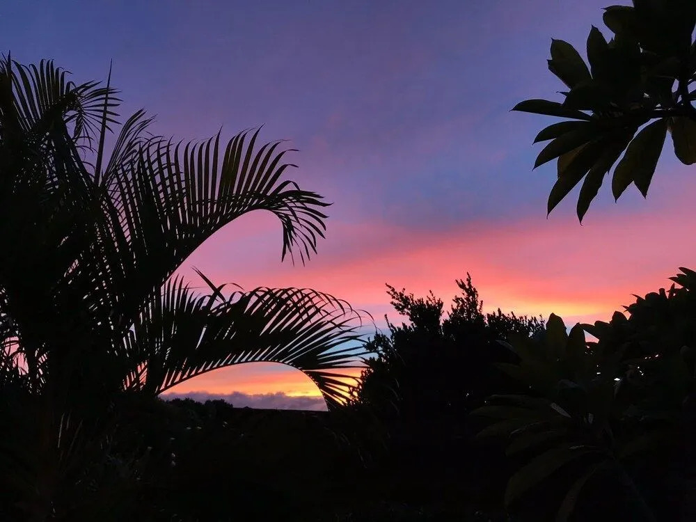 Maui Garden Oasis