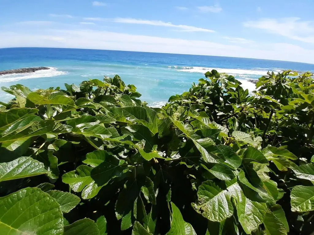 Appartamento nel borgo con splendida vista sul mare