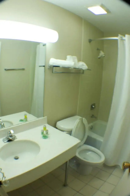 Belvedere Motel