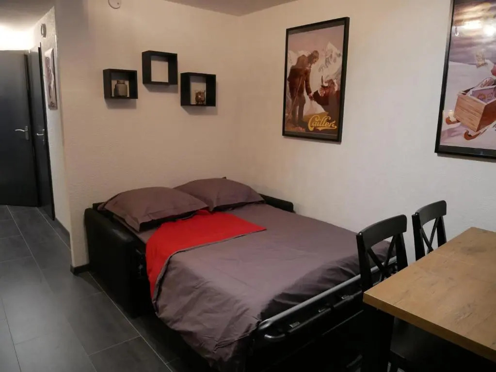 Appartement 4 personnes au pied des pistes du Linga à CHÂTEL