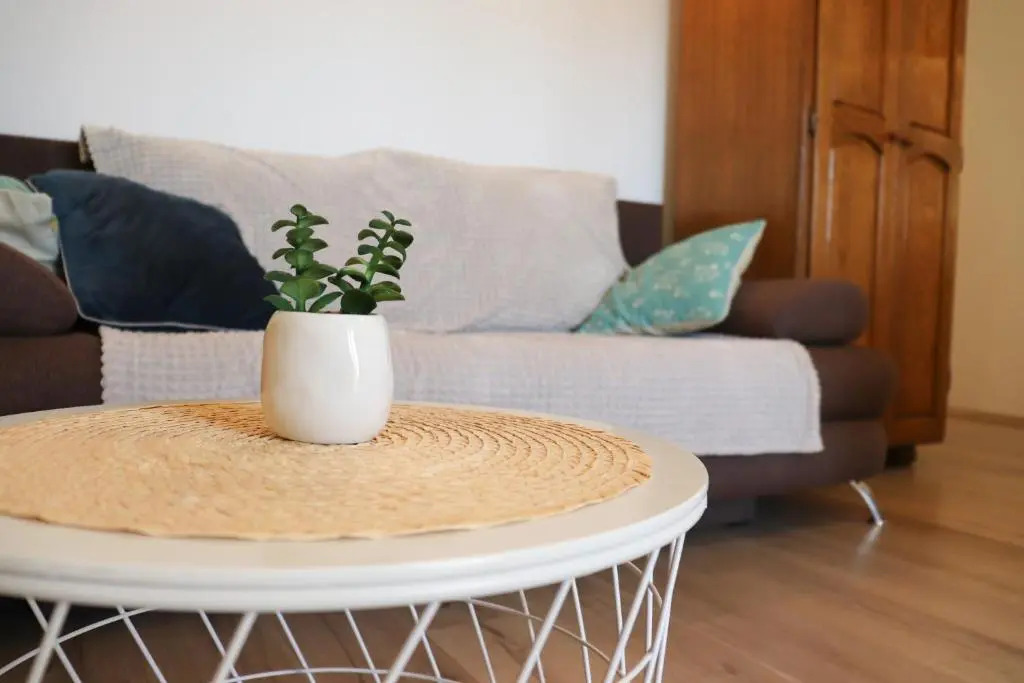 APARTMENT ANNA 350m FROM THE BEACH
