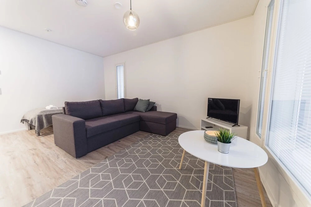 SSA Spot spacy 2-room apt ID 5003B2