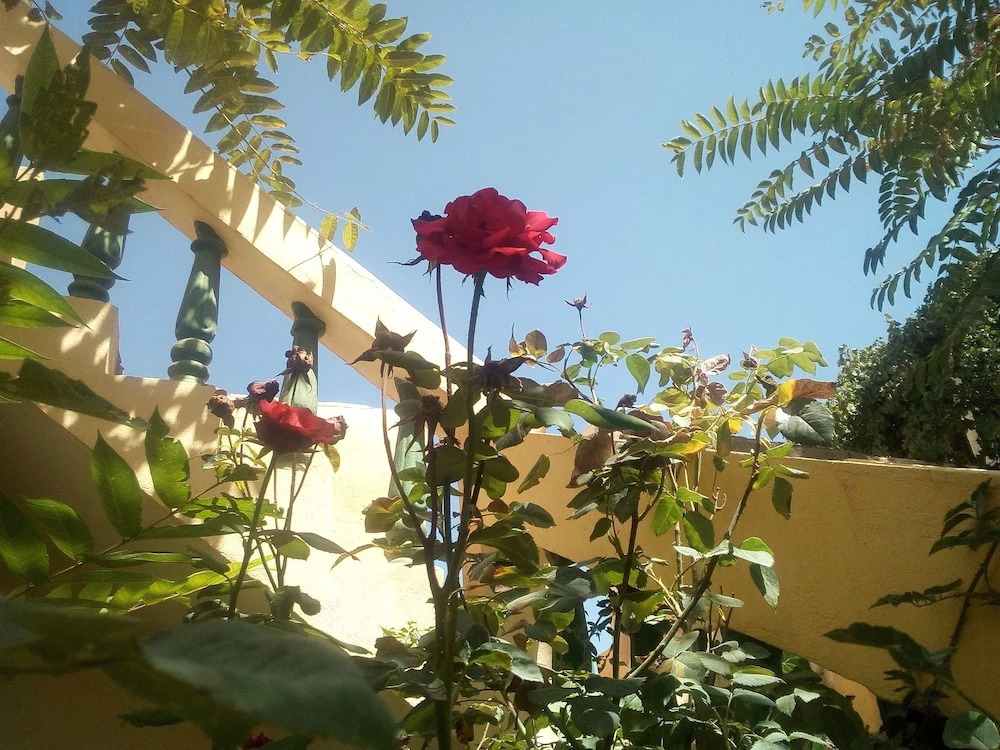 Auberge Jaafar Kasbaa Itto