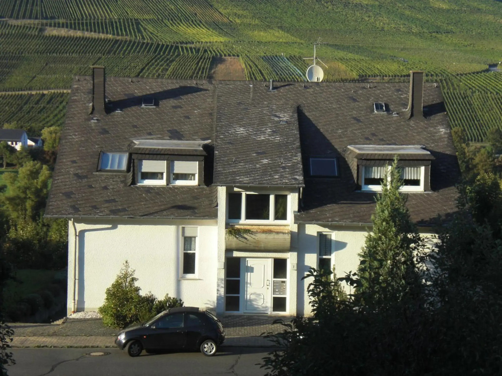 Bernkasteler Moselpanorama