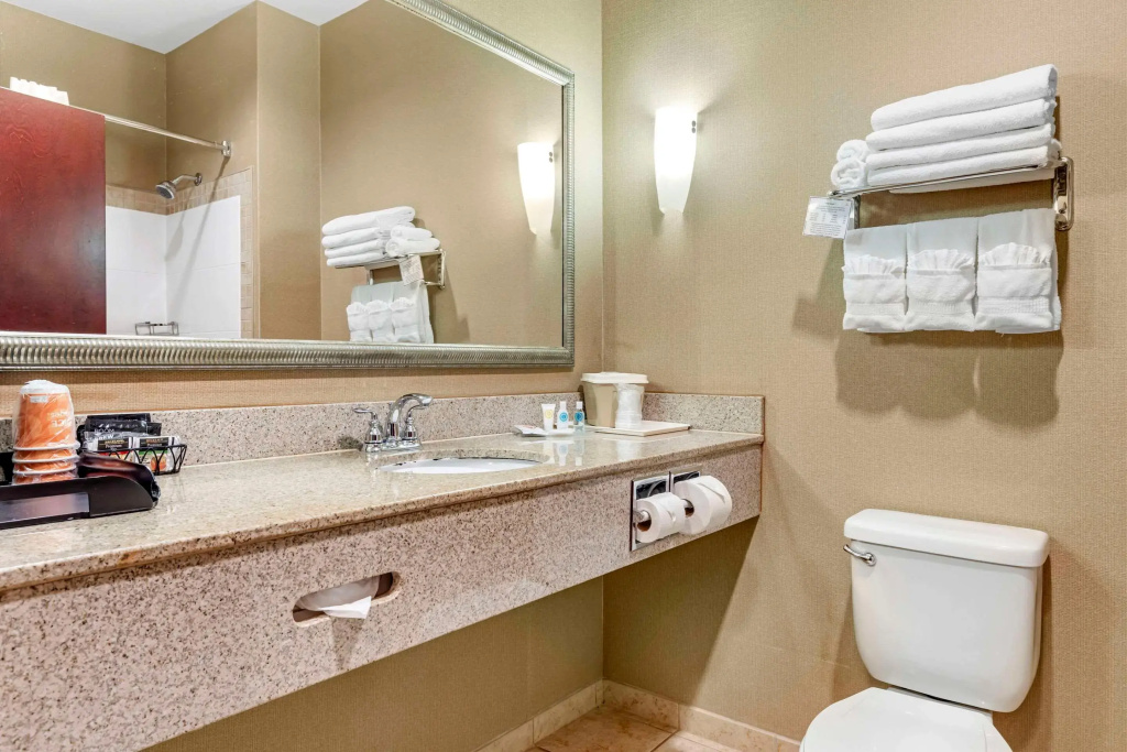 Comfort Suites Palestine