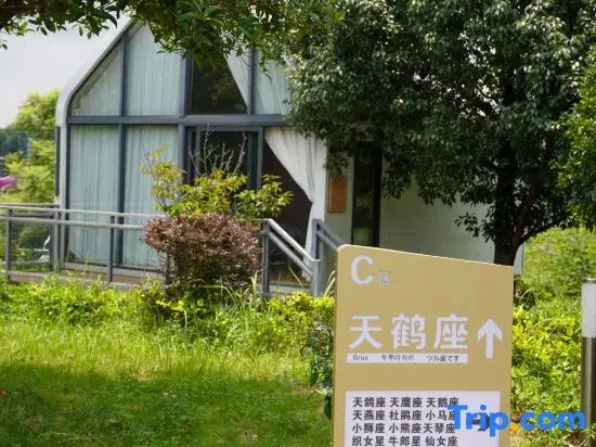 Zhenfeng Sanchahe Starry Sky Homestay
