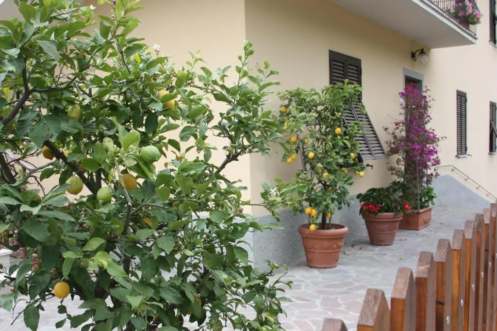 La Casa dei Limoni
