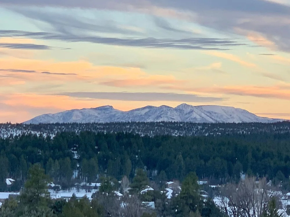 Elk Rim 1140 Pine
