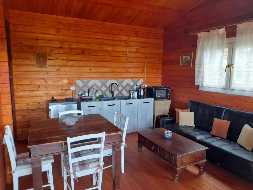 Villa Evenos of 3 bedrooms - Irida Country House of 2 bedrooms with private pools