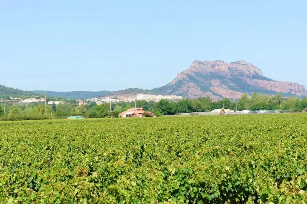 Villa with 3 Bedrooms in Roquebrune-Sur-Argens, with Wonderful Mountain View, Private Pool, Enclosed Garden